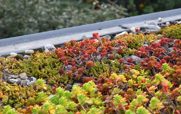 the cost of Cray green roof installation