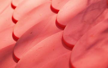 Cray plastic roof costs