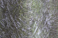 Cray fibreglass roof work