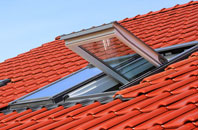 Cray roof window